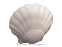 fantaisie-coquillage-blanc