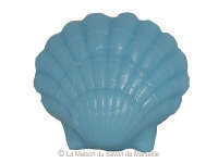 fantaisie-coquillage-bleu