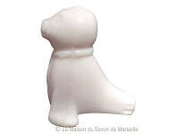 fantaisie-phoque-blanc