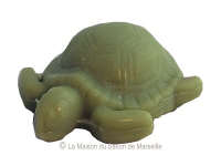 fantaisie-tortue-vert