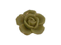 rose_verveine-30