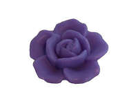 rose_violet-30